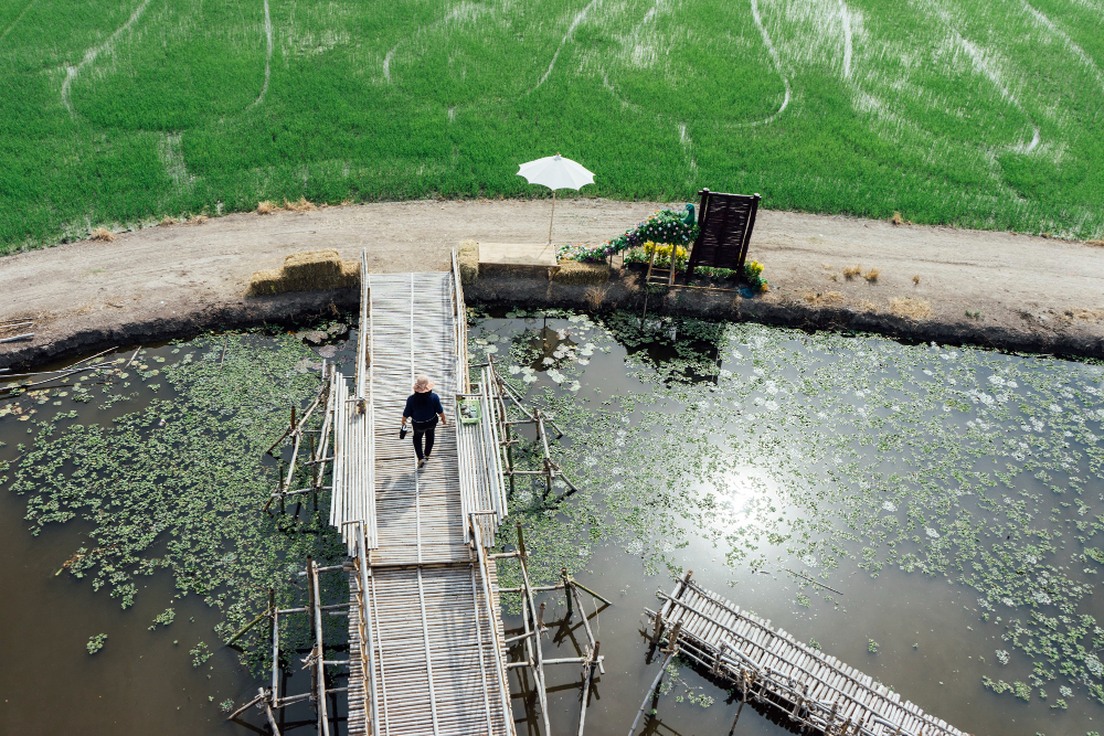 The Health Benefits of Regular Water Tank Cleaning: Why It Matters